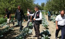 Van İpekyolu’nda Modern Sulama Sistemi Şaşırttı!