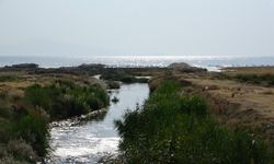 Van Gölü’nde Uydu Görüntülerine Yansıyan Kirlilik Göz Korkuttu