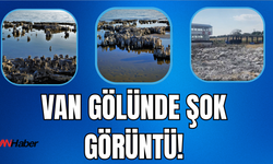 Van Gölü’nde Şok Görüntü: İskele Karada Kaldı!
