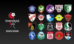 1.Ligin Çiçeği Burnunda Takımı Vanspor, Peki En Tecrübelisi Kim?