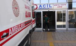 Van Acil Servisler Sıcak Çarpması Vakalarıyla Doldu