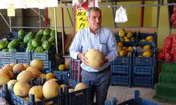 Van’da Coğrafi İşaretli Sıhke Kavunu Hasadı Başladı