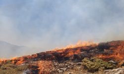 Van Bahçesaray'da Arazi Yangını
