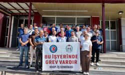 Van'da SYDV Çalışanları Grevde