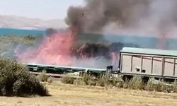 Van'da Erçek Gölü Kıyısında Sazlık Alanda Yangın Çıktı