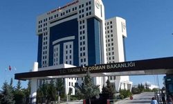 Tarım Bakanlığı Harekete Geçti: Uygunsuz Gıdaya Büyük Darbe