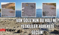 Van Gölü Çöplerle Boğuluyor!  Bu Yetkililer Nerede?