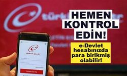 Vanlılar DİKKAT ! E-Devlette Birikmiş Paranızı 2 Adımda Hemen Sorgulayın!