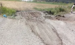 Erciş’te Düvenci Mahallesi’nde Döşeme Çalışması Tamamlandı