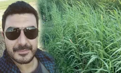 Eski Foça Belediye Başkanının Oğlu Sazlıkta Ölü Bulundu!