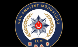 Van’da Fuhuş ve İnsan Ticareti Operasyonu: 5 Tutuklama