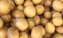 Van’da Patates Fiyatları Hâlde Sabit, Pazarda Yükseliyor