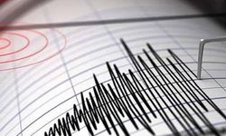 Gevaş ve Tuşba’da korkutan deprem!