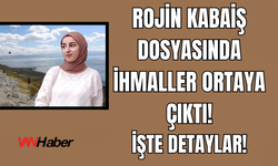 Van Ve Diyarbakır Barosundan Rojin Kabaiş İçin Ortak Açıklama!