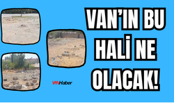 Van’ın Şabaniye Mahallesi Çöplüğe Döndü!