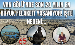 Van Gölü’nde Büyük Çekilme! Göl Derinliği 60 Metre Azaldı!