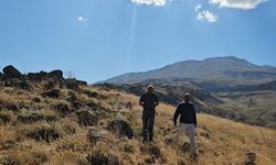 Süphan Dağı zirvesindeki kar örtüsü eridi