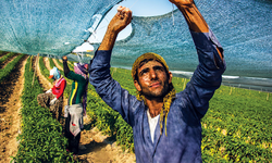 İşsiz Gençlere Müjde! Artık İş Sahibi Olabilirsiniz