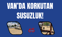 Erciş Şehit Rıdvan Çevik Hastanesi Bahçesi Susuzluktan Kuruyor