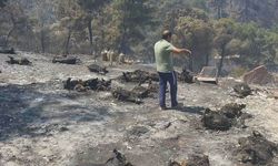 Vanlı Aile Çanakkale  Yangınında Herşeyini Kaybetti!