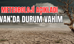 Van Temmuzda Kurudu: Meteoroloji’den Kritik Uyarı!