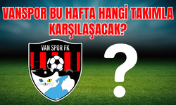 Vanspor, Alagöz Holding Iğdırspor ile Kritik Maça Hazırlanıyor: Hedef 3’te 3!