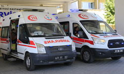 Eşeğin Sürüklediği 7 Yaşındaki Meryem Hayatını Kaybetti