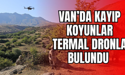 Van Erciş'te kaybolan 26 küçükbaş hayvan termal drone ve dürbünle bulundu