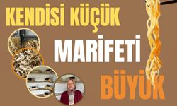 Ev Yapımı Lezzet: Hanife Tatar’ın Eriştesine Yoğun İlgi!