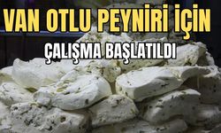 Van Otlu Peyniri İçin Çalışma Başlatıldı