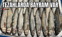 İnci Kefali Av Yasağı Sona Erdi, Tezgahlardaki Yerini Aldı
