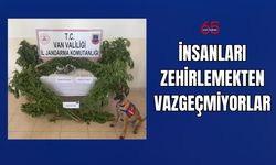 Zehir Tacirlerine Operasyon