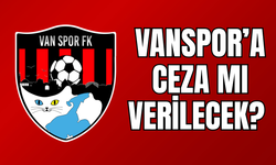 Vanspor Sezona Galibiyetle Başladı, PFDK’ya Sevk Edildi!