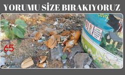 Ekmeğin Yeri Burası Olmamalıydı