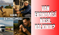 Van ekonomisi nasıl kalkınır?