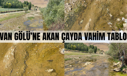 Muradiye'deki Bendimahi Çayı Kuruyor, Siraz Balığı Tehlikede