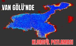Mustafa Akkuş’tan Uyarı: Van Gölü Kirlilikte Alarm Veriyor!