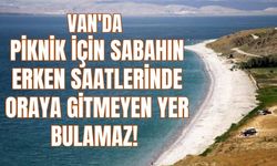Van’da Hafta Sonu Piknik Keyfi: Ayanis Kalesi