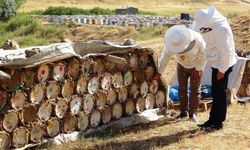 Van’da Bal Veriminde Düşüş Alarmı!