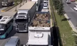 CİMER’den Açıklama Geldi: Van’ın Trafik Çilesi 2025’e Kadar Sürebilir