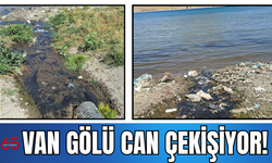 Van’ın İncisi Can Çekişiyor! Tatvan Kıyısında Kanalizasyon ve Çöp Alarmı