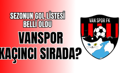 Zirveye Yaklaşıyorlar! Vanspor'un Gol Listesindeki Yeri Belli Oldu