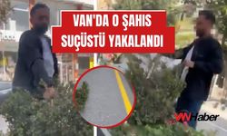 Van’da refüjdeki ağaçlara zarar veren şahıs suçüstü yakalandı