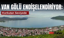 Van Gölü Endişelendiriyor: Korkutan Seviyede