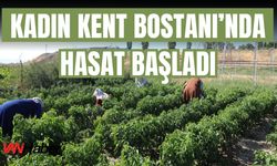Kadın Kent Bostanı’nda Hasat Başladı