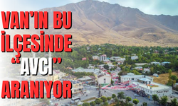 Gevaş'ta Domuz Alarmı: Avcı Aranıyor!