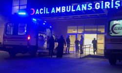 Erzincan Üzümlü’de Düğün Yemeği Hastanelik Etti: 106 Kişi Tedavi Altına Alındı!