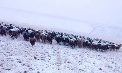 Ağrı’da yüksek kesimlere mevsimin ilk karı düştü