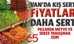 Van’da Kış Sert, Fiyatlar Daha Sert: Pazarda Meyveye Yanaşmak Zor!