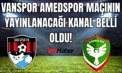 Vanspor - Amedspor Maçı Hangi Kanalda? İşte Yayın Detayları!